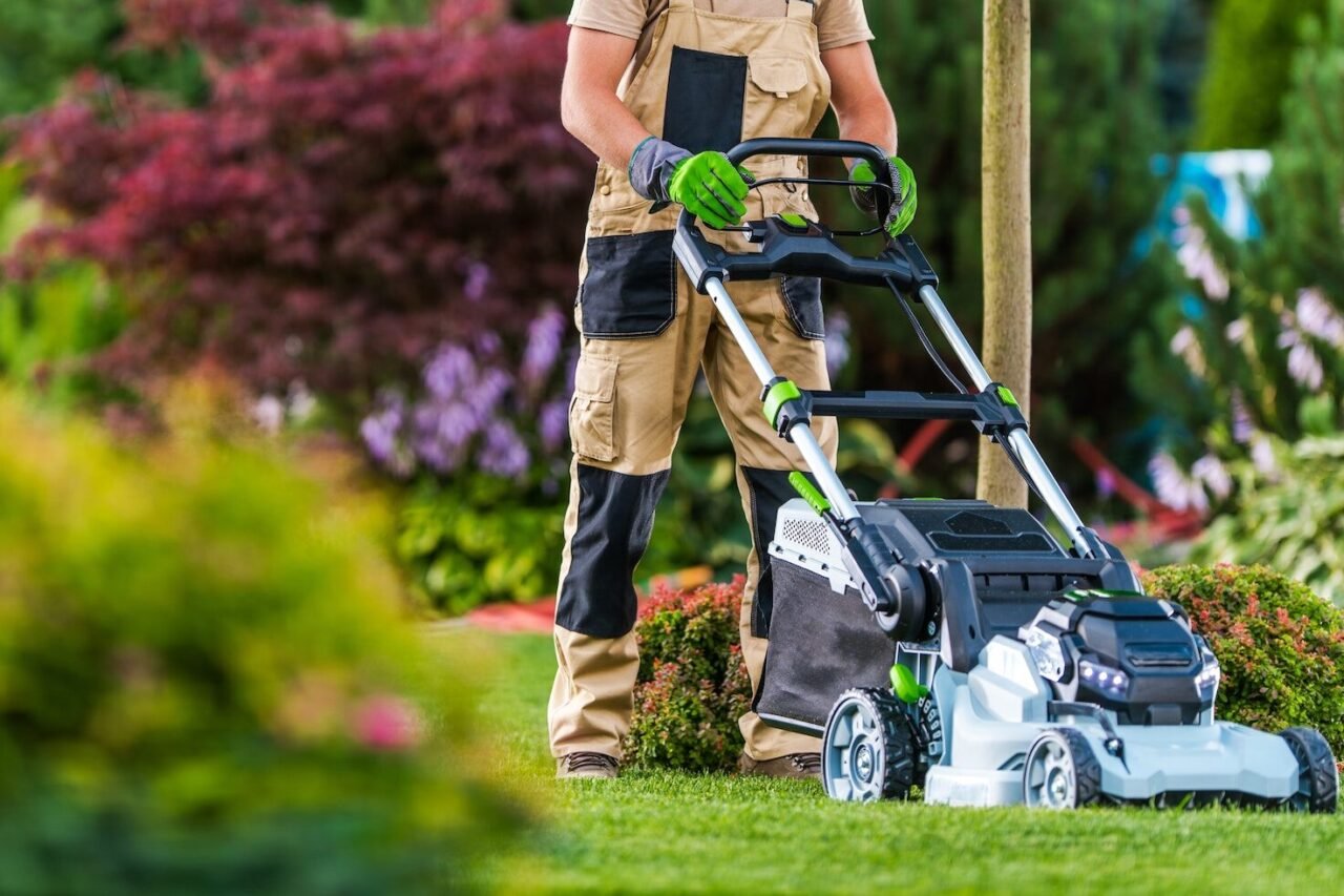 10 Essential Tips for Creating a Stunning Landscape Design